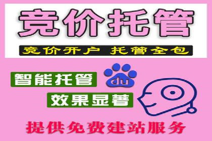 SEM托管实战案例：揭秘高效广告投放秘诀
